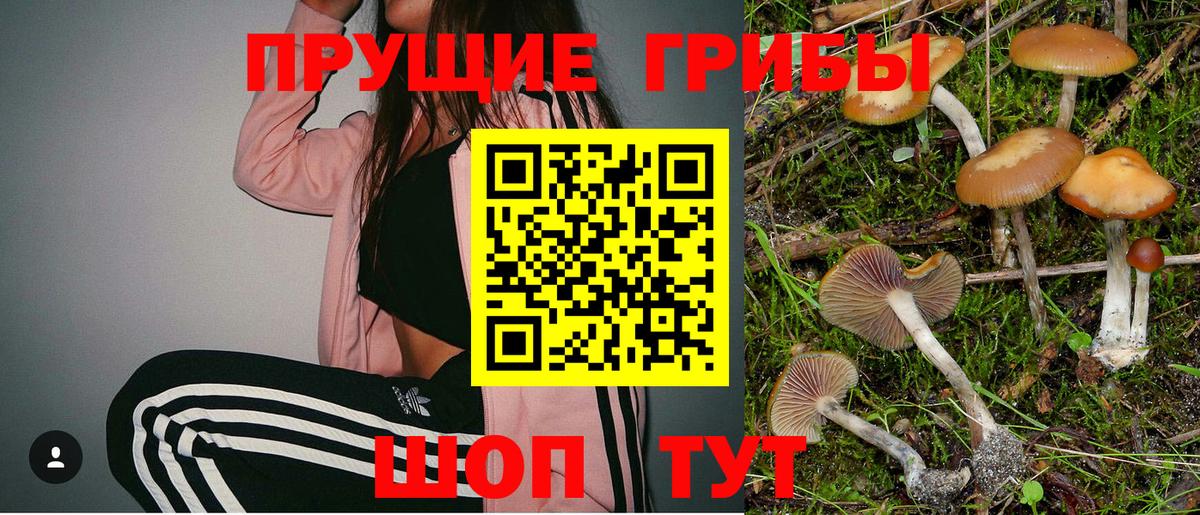 Галлюциногенные грибы ЛСД  Галлюциногенные грибы ЛСД  Кимры 