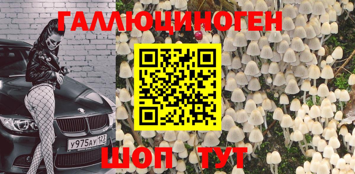 Галлюциногенные грибы Cubensis  Вход с VPN  Галлюциногенные грибы Psilocybe  Кимры 